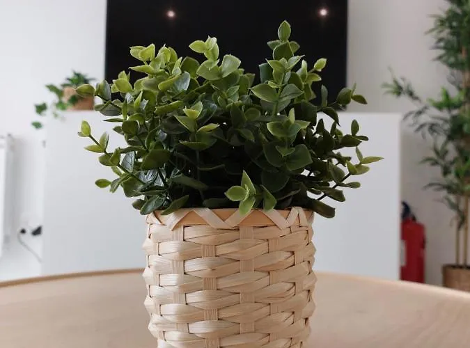 Life Apartment, New, Elegant And Cozy Apartament *